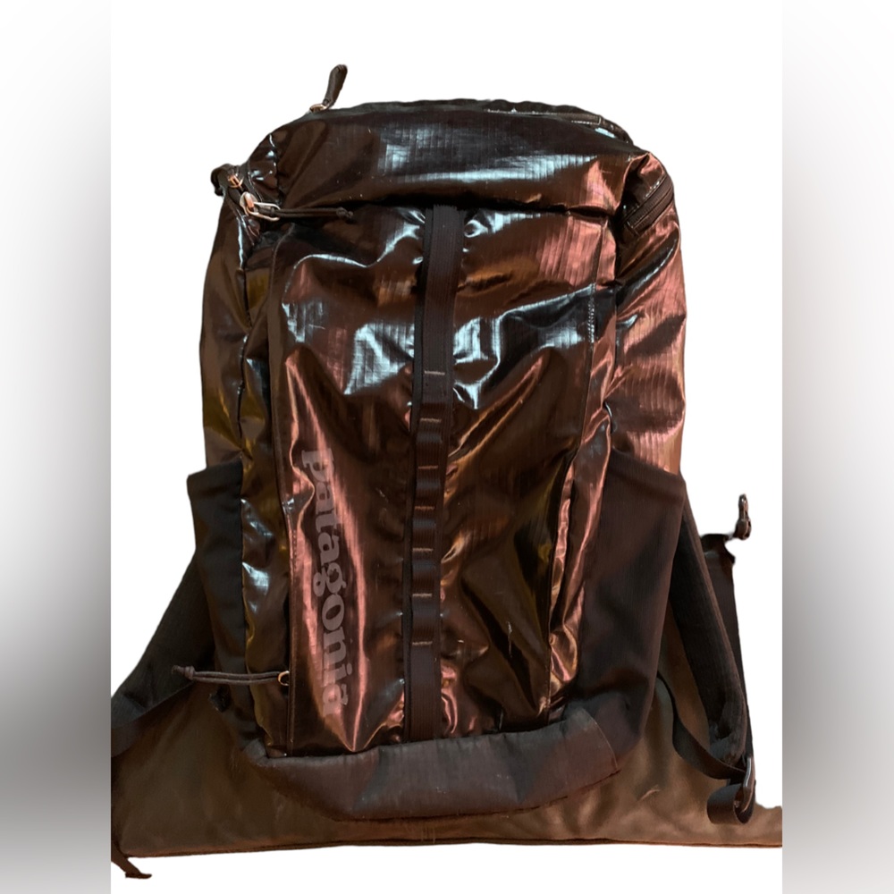 Patagonia Black Hole 25L Travel Pack Black